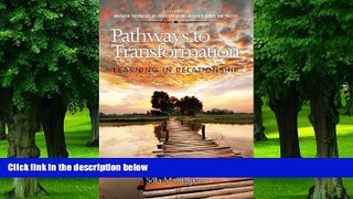 Big Deals  Pathways to Transformation: Learning in Relationship (Hc) (Innovative Perspectives of