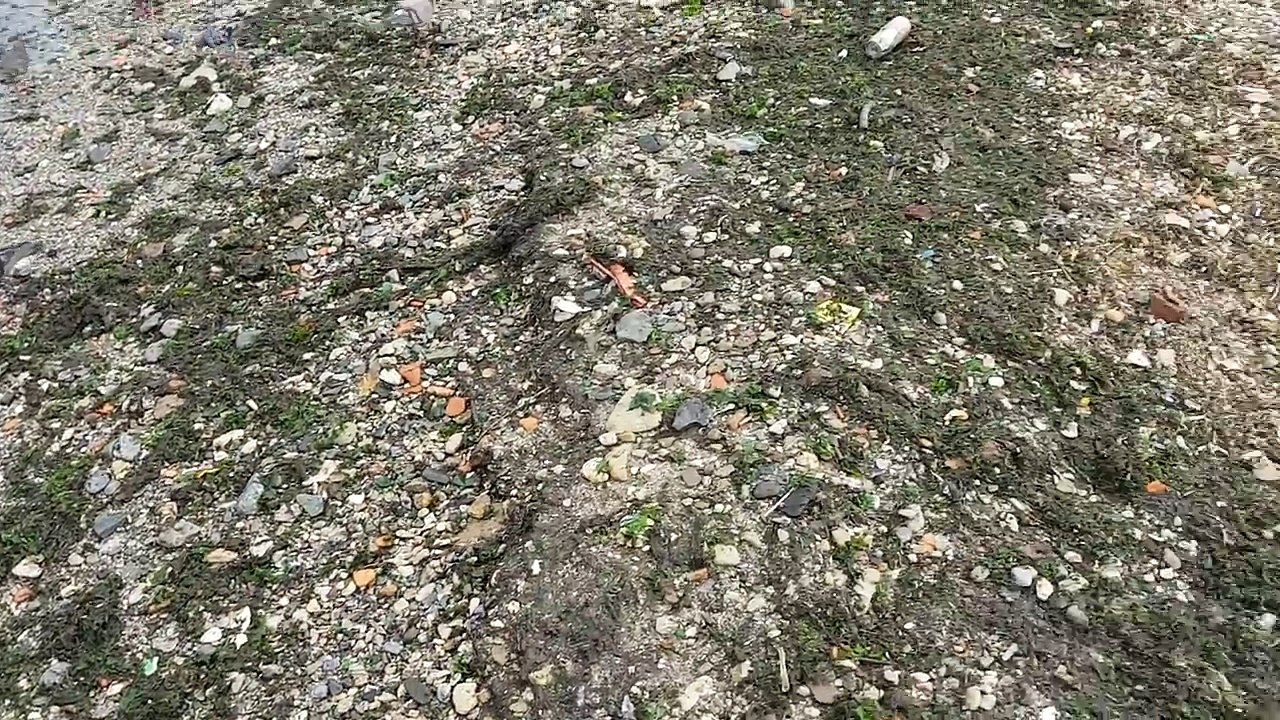 Черные воды Черного моря омывают черные берега Феодосии