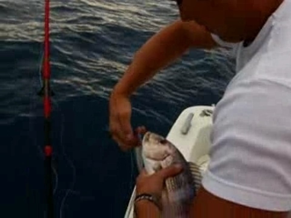 Jigging petit denti relaché