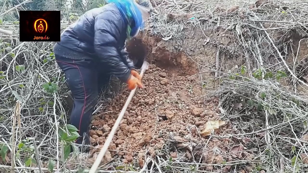 Learn How To Extracting Honey!