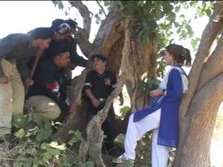 Do Loafer - Pothohari TeleFilm