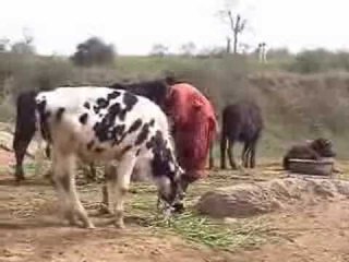 Chakarbaaz - Pothohari TeleFilm