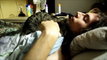 A Man and His Cat (Cute) - 毎朝起こしに来るネコの日課とは