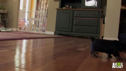 Boys Will Be Boys   Too Cute!