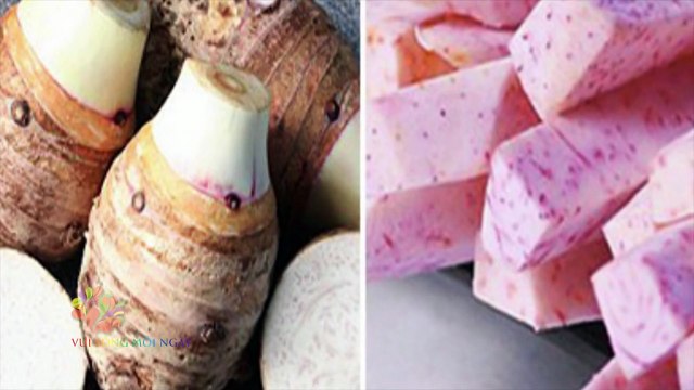 Món Bánh Khoai Môn Hấp | Món Ngon Mỗi Ngày 2016