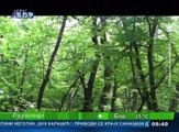 Budilica gostovanje ( Boban Đorđević), 30. avgust (RTV Bor)