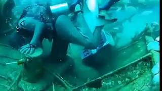 Behind the scenes of underwater doucomentries