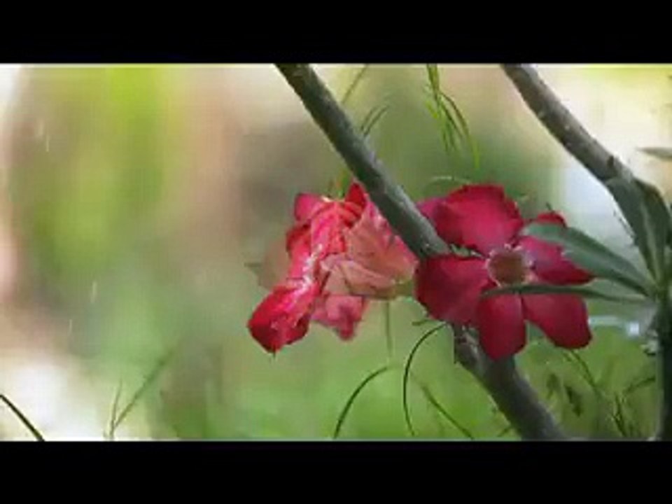 Khwab Sub Dhool Huway Title Song Full by Ptv Home Aired on 30th August 2016
