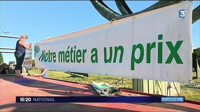 Agriculture , la colère des producteurs de lait contre Lactalis