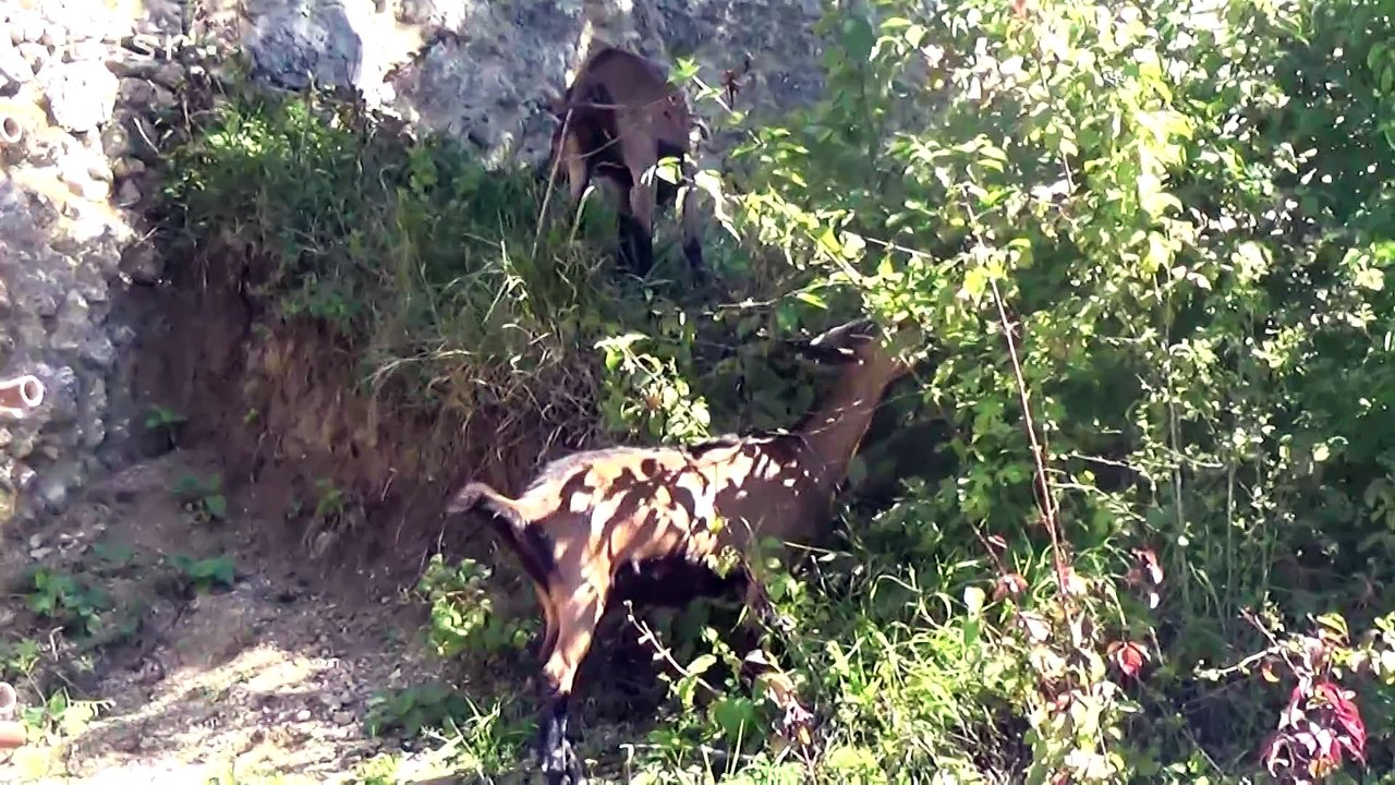 Výlet na Lietavský hrad