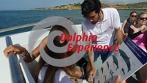 Dolphin watching & Caves by AlgarExperience (Albufeira, Algarve, Portugal)