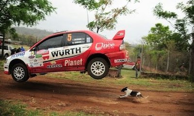 Un chien sauvé in extremis par le saut d'une voiture de rallye en Bolivie !