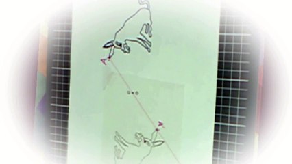 5ème Les symétries Propriétés des symétries centrales