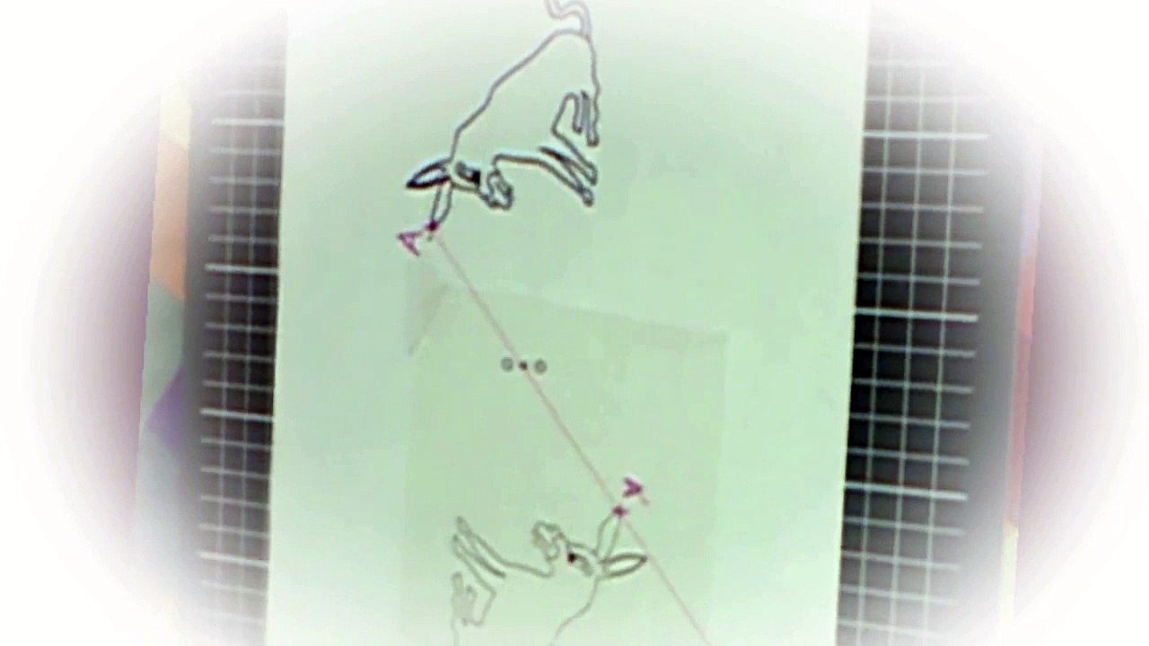 5ème Les symétries Propriétés des symétries centrales