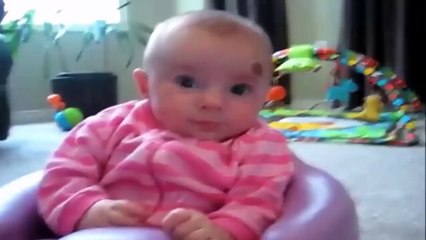 Top Funny Baby Videos 2016   Baby Laughs Part 1