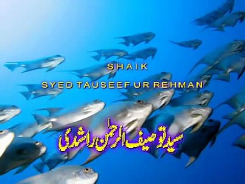 Qabar Parasti - Shaikh Tauseef-ur-Rahman