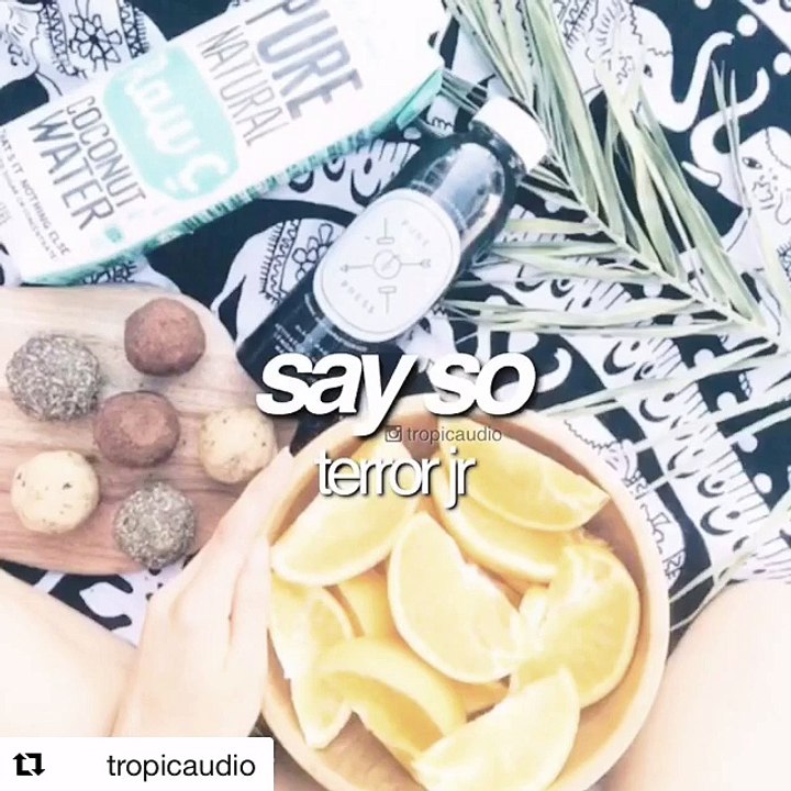 say so - terror j