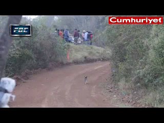 Dünyanın en şanslı köpeği