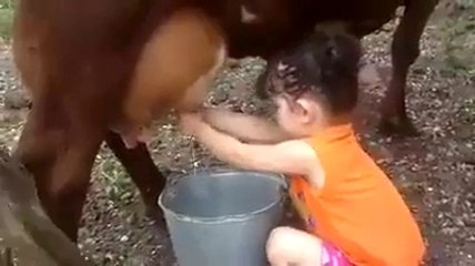 So Cute girl milking Cow awesome video must watch