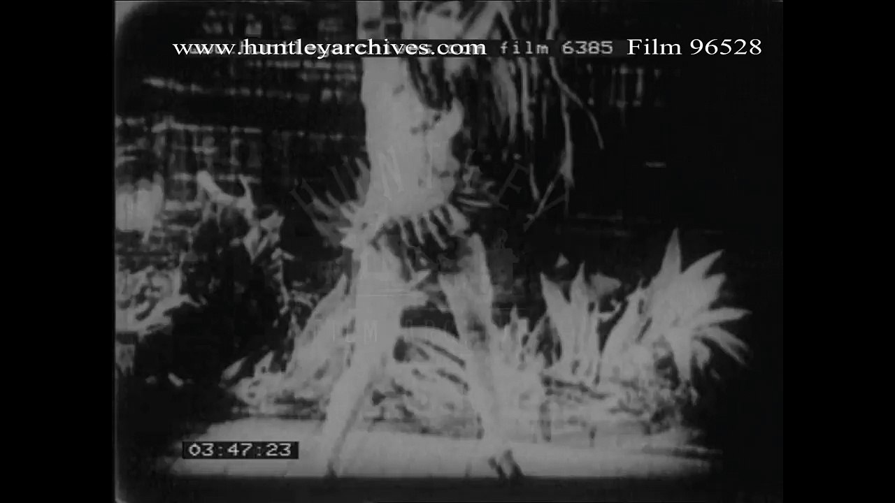 Josephine Baker wears a Banana Skirt. Archive film 96528