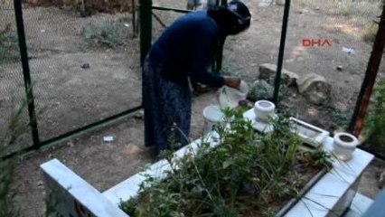 Adıyaman Kaza Kurbanı Oğullarının Şehit Kabul Edilmesini İstiyorlar