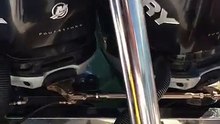 (1) Poursuivi par un groupe de 12 orques, ce phoque nage comme un fou pour grimper sur un bateau