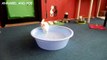 FCAP Videos #3 - Cute Kitten Loves Water !    Funny Cats in Water  Video