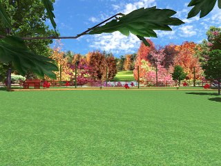 Permaculture project MM001