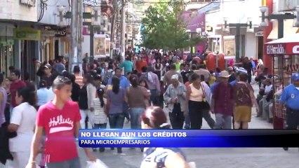 No llegan aun los creditos para microempresarios