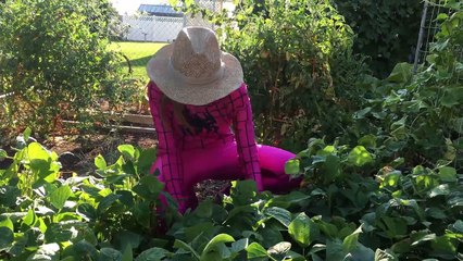 Pink Spidergirl Gets Pregnant! Watermelon W/ Doctor Spiderman Fun Superhero Movie In Real Life In 4K