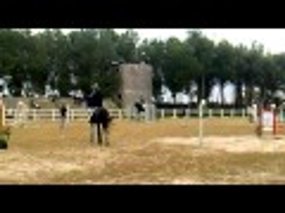 Gara Salto ad ostacoli Appidé 28.11.2010