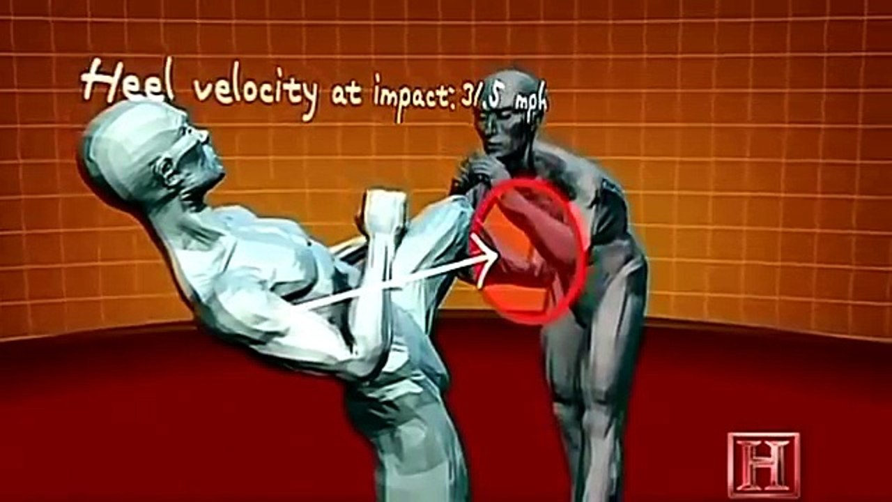 Human Weapon-Attacks,Fighting Techniques andSelf Defense for anyonemen women and Begginers