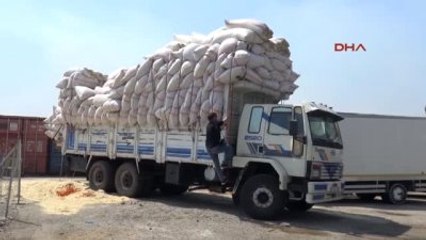 Adana - Saman Yüklü Kamyonda 389 Kilo Esrar Ele Geçti