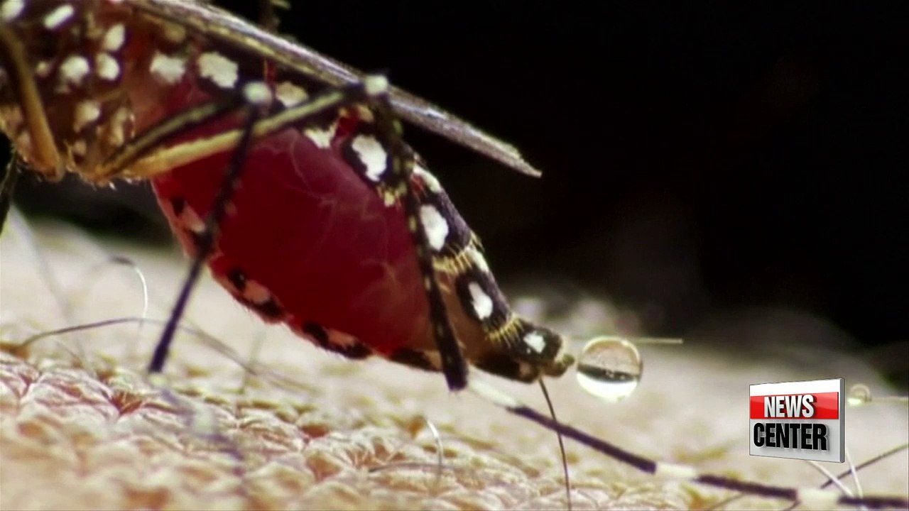 American scientists identify possible treatment compounds for Zika virus