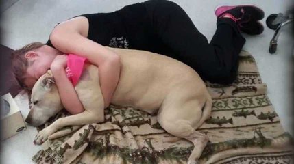 Les photos déchirantes de la dernière journée de vie de son chien