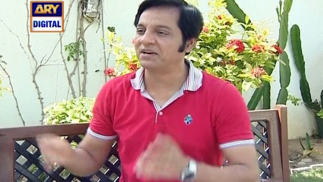 Watch Bulbulay Episode 223 on Ary Digital in High Quality 30th August 2016