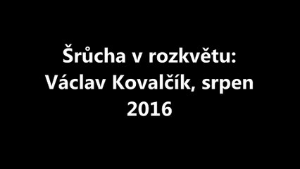 Šrůcha v rozkvětu: Václav Kovalčík, srpen 2016