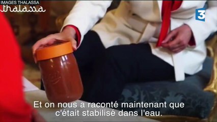 Boues rouges dans les calanques, teaser de l'émission Thalassa du 02/09/16