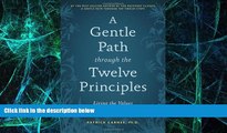Big Deals  A Gentle Path through the Twelve Principles: Living the Values Behind the Steps  Best