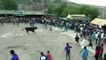 Nine people gored by bulls at religious festival in Peru