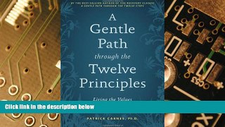 Big Deals  A Gentle Path through the Twelve Principles: Living the Values Behind the Steps  Free