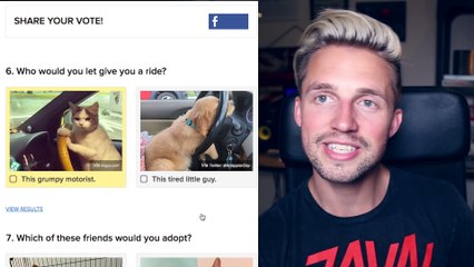 WOULD YOU RATHER Cute Cats vs Cute Dogs