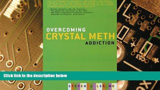 Big Deals  Overcoming Crystal Meth Addiction: An Essential Guide to Getting Clean  Best Seller
