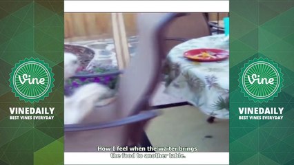 450+ AMERICA'S FUNNIEST HOME VIDEOS Vine Compilations 2016 - Funny AFHV Vines HD ( W- Titles)_26