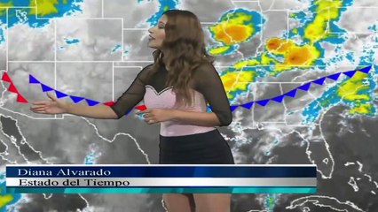 Diana Alvarado 8.4.2015