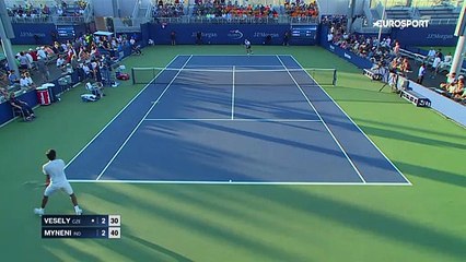 Jiri Vesely - Saketh Myneni (Özet)