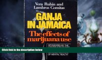 Big Deals  Ganja in Jamaica: A Medical Anthropological Study of Chronic Marihuana Use (New