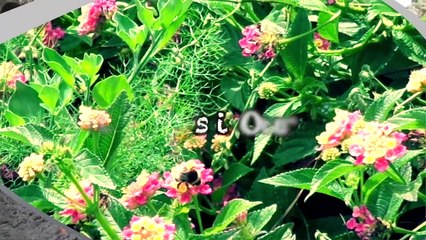 amor próprio, conheçer-se