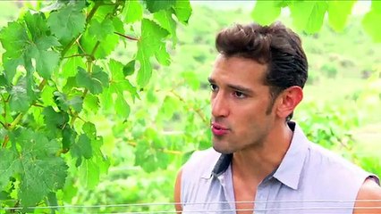 Vino el Amor - Avance