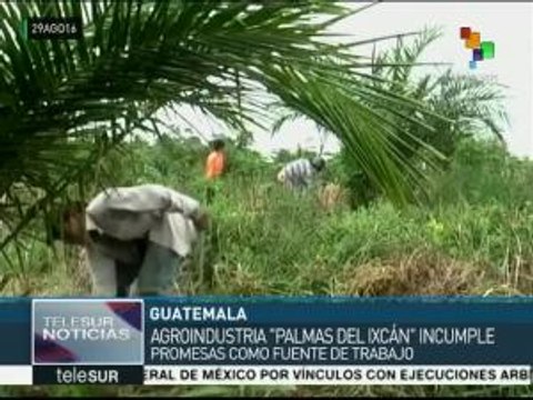 Guatemala: comunidades denuncian a Palmas del Ixcán ante ONU